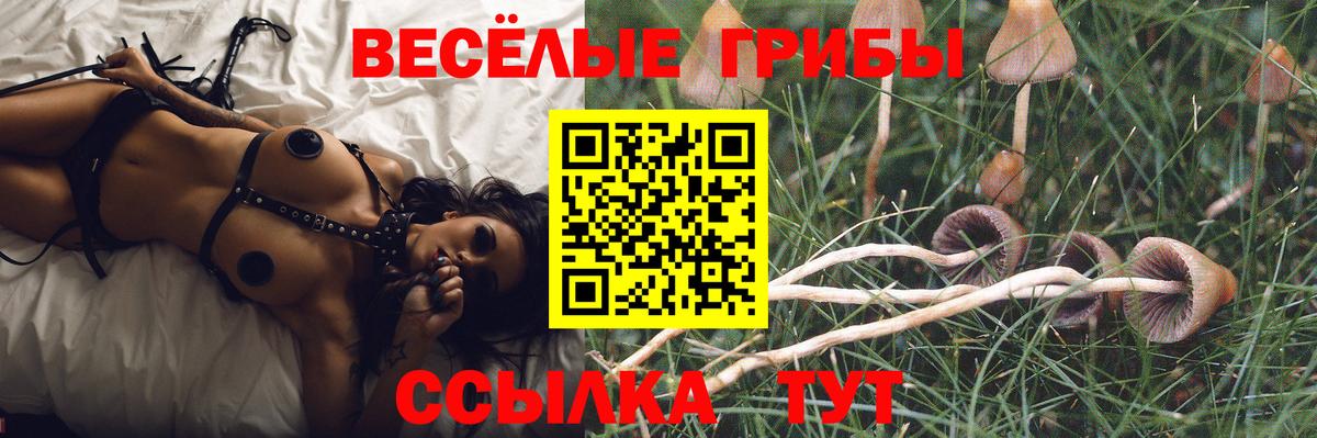 Псилоцибиновые грибы MAGIC MUSHROOMS  Вход с VPN  Обнинск 